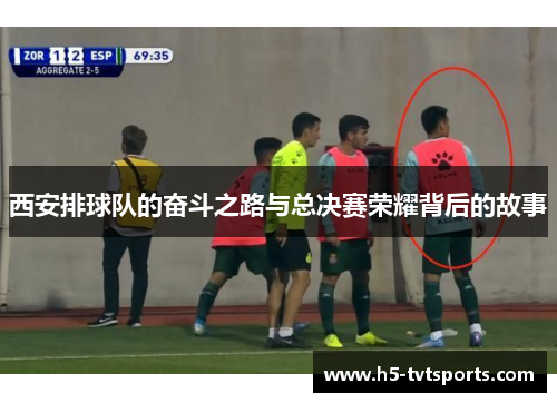 西安排球队的奋斗之路与总决赛荣耀背后的故事