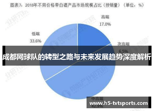 成都网球队的转型之路与未来发展趋势深度解析